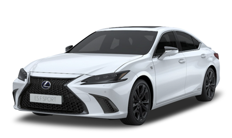 화이트 노바 글래스 플레이크 익스테리어